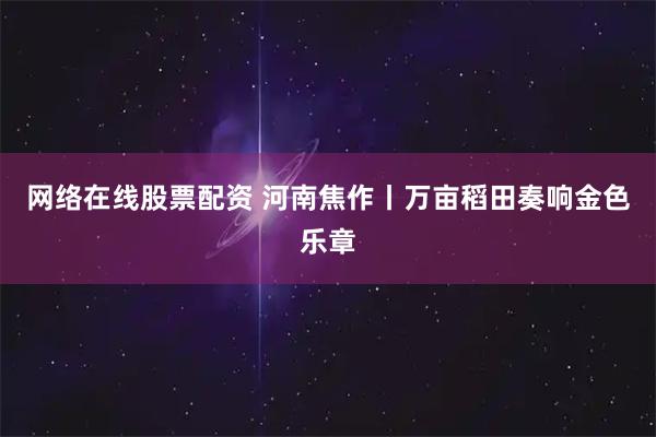 网络在线股票配资 河南焦作丨万亩稻田奏响金色乐章