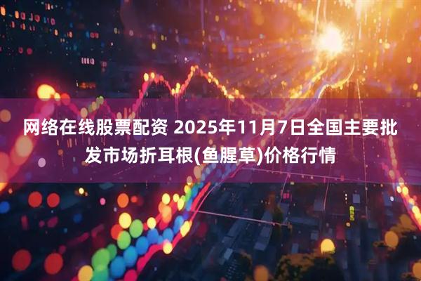 网络在线股票配资 2025年11月7日全国主要批发市场折耳根(鱼腥草)价格行情