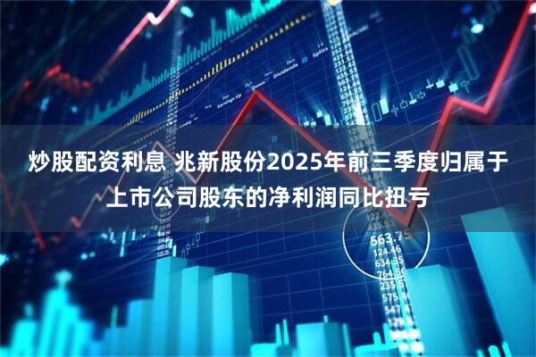 炒股配资利息 兆新股份2025年前三季度归属于上市公司股东的净利润同比扭亏